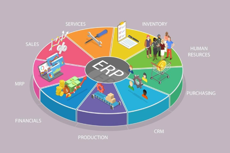 افزایش درآمد و خلق فرصت‌های جدید