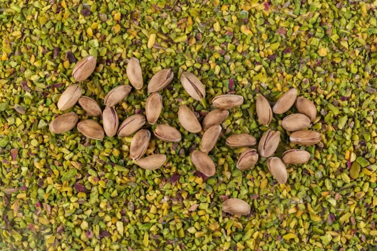 ویژگی و مهم ترین نکات پسته صادراتی به امارات