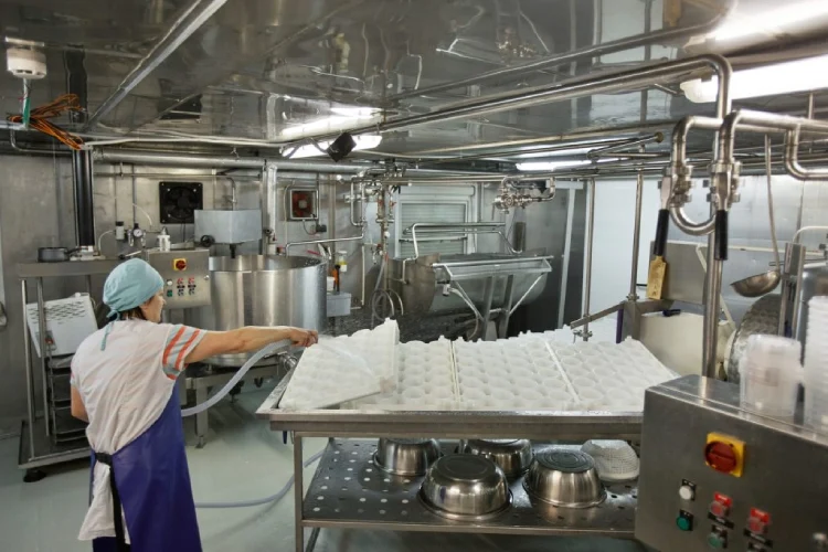 معرفی انواع خط تولید (خانگی و صنعتی)
