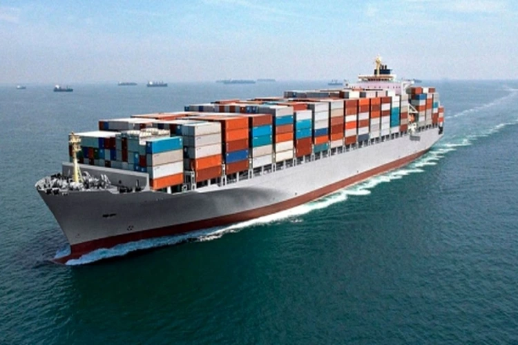 حامل در CPT کیست؟