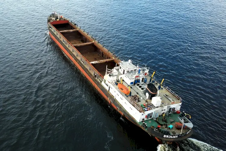 Dry Bulk Cargo Barge (دوبه فله خشک)